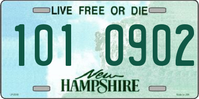 NH license plate 1010902