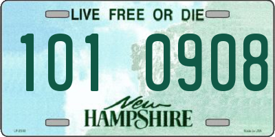 NH license plate 1010908