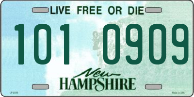 NH license plate 1010909