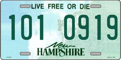NH license plate 1010919