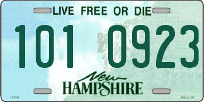 NH license plate 1010923