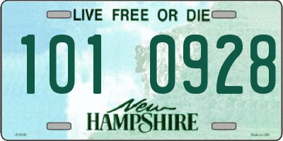 NH license plate 1010928