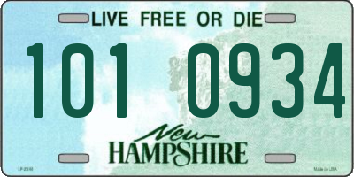 NH license plate 1010934