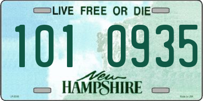 NH license plate 1010935