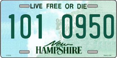 NH license plate 1010950