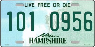 NH license plate 1010956