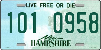 NH license plate 1010958