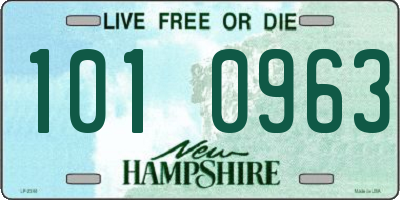 NH license plate 1010963