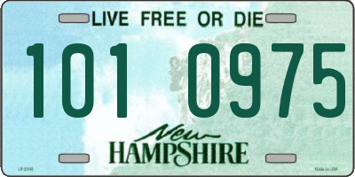 NH license plate 1010975