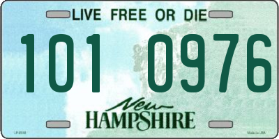 NH license plate 1010976