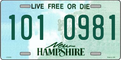 NH license plate 1010981