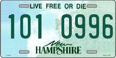 NH license plate 1010996