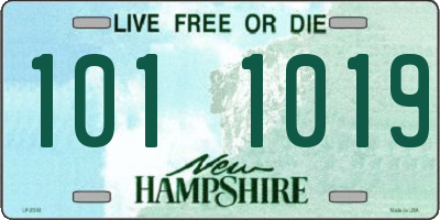 NH license plate 1011019