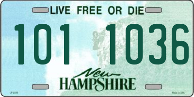 NH license plate 1011036