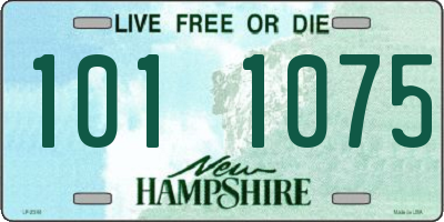 NH license plate 1011075