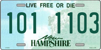 NH license plate 1011103