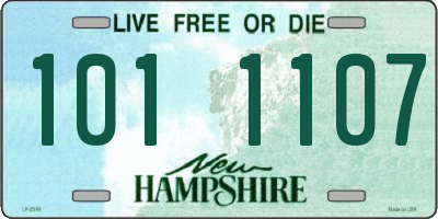 NH license plate 1011107