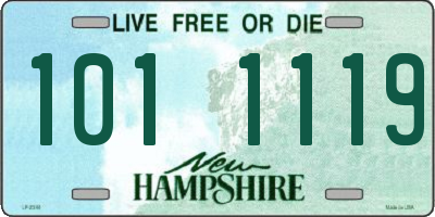 NH license plate 1011119