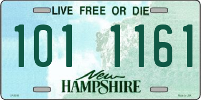 NH license plate 1011161