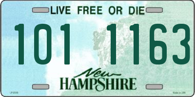 NH license plate 1011163