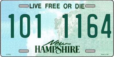 NH license plate 1011164