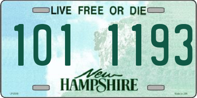 NH license plate 1011193