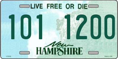 NH license plate 1011200