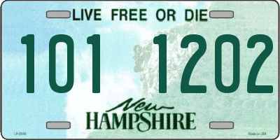 NH license plate 1011202