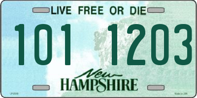 NH license plate 1011203