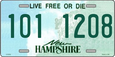 NH license plate 1011208