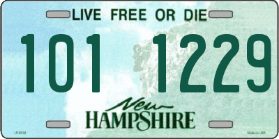 NH license plate 1011229