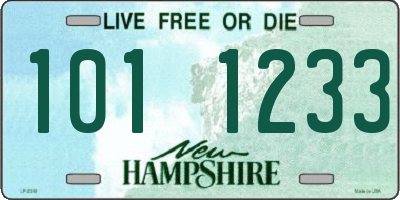 NH license plate 1011233