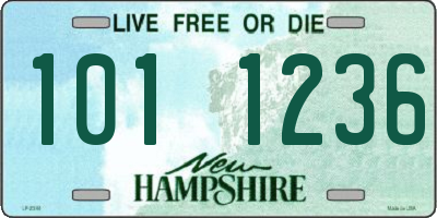 NH license plate 1011236