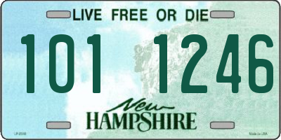 NH license plate 1011246