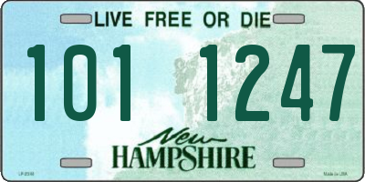 NH license plate 1011247