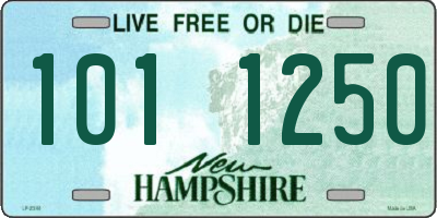 NH license plate 1011250