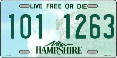 NH license plate 1011263