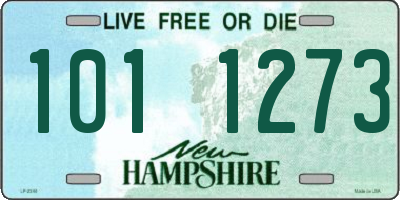 NH license plate 1011273