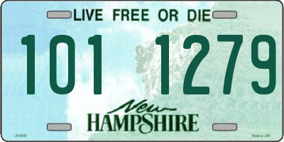 NH license plate 1011279