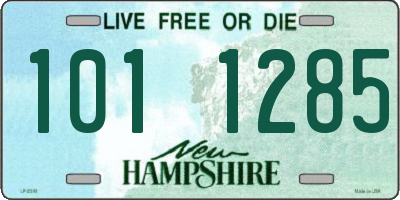 NH license plate 1011285