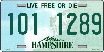 NH license plate 1011289