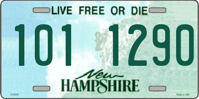 NH license plate 1011290