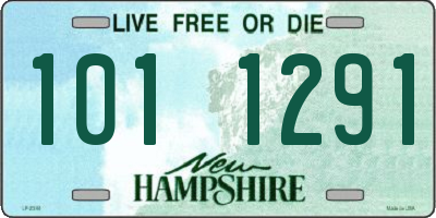 NH license plate 1011291