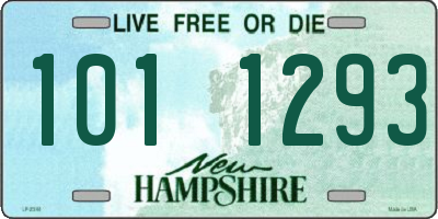 NH license plate 1011293