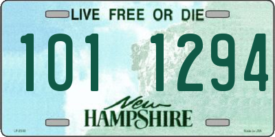 NH license plate 1011294