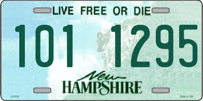 NH license plate 1011295