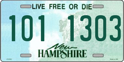 NH license plate 1011303