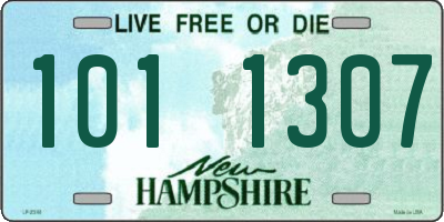 NH license plate 1011307