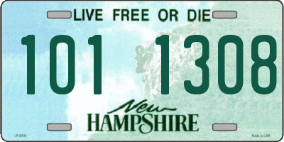 NH license plate 1011308