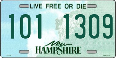 NH license plate 1011309